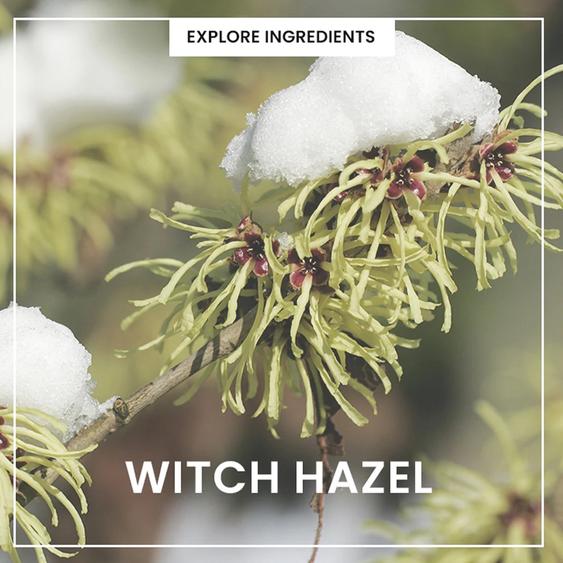 heimish - Espuma limpiadora All Clean Green Foam 150 mL